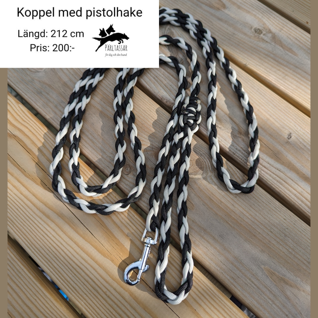 Ko19