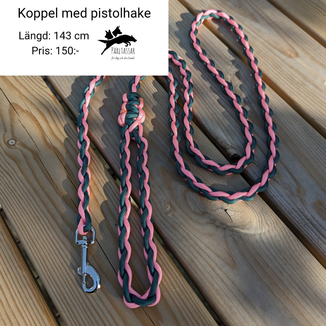Ko20