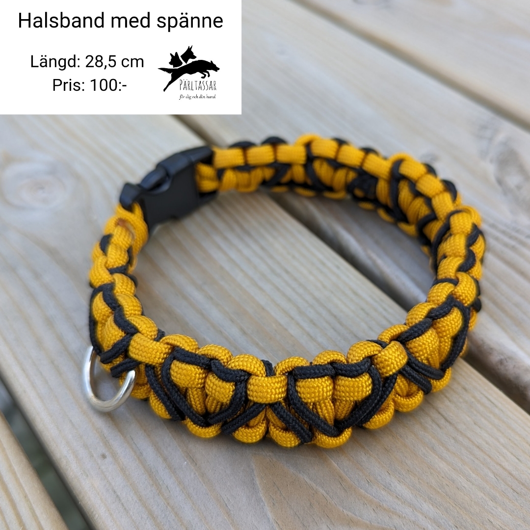 Ha16