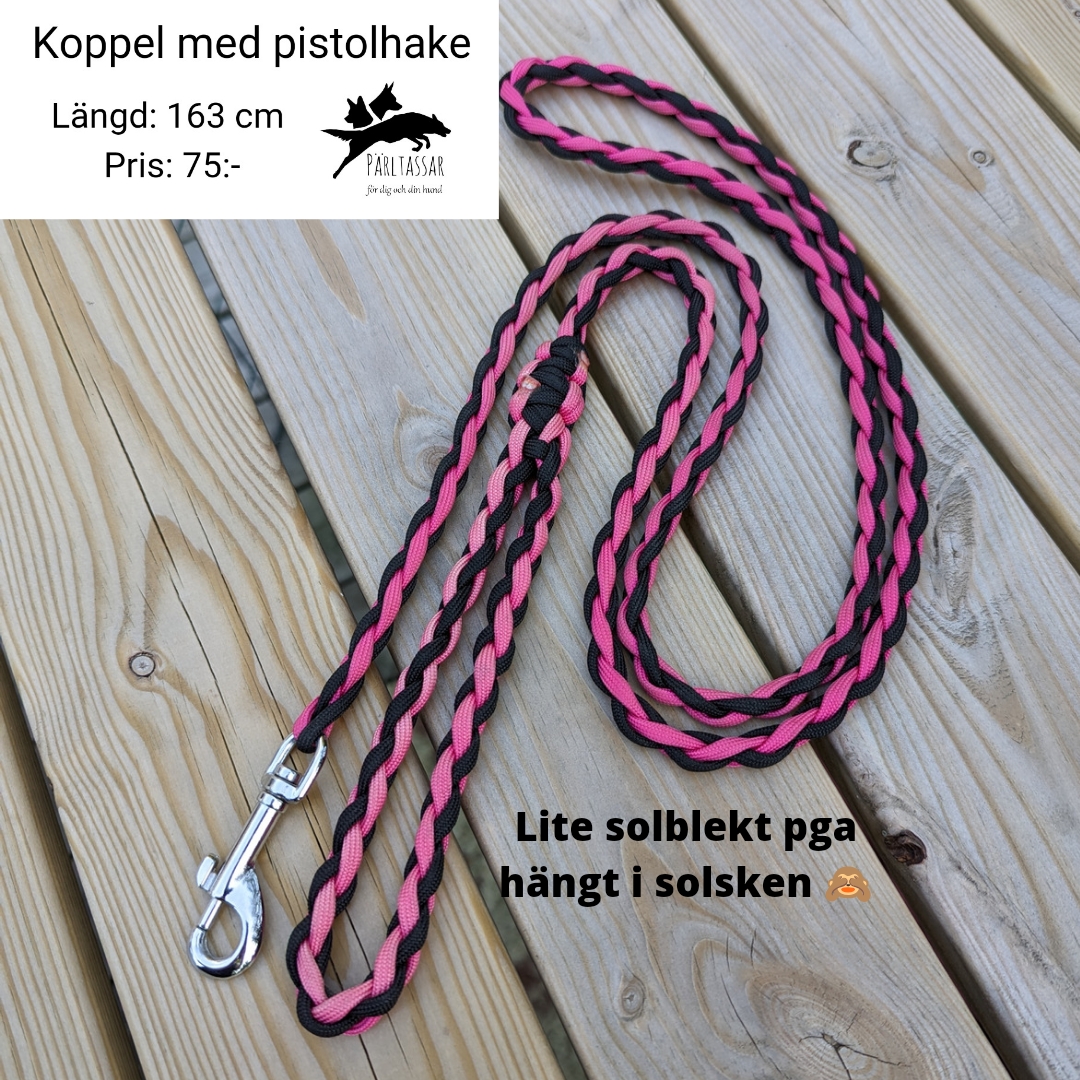 Ko29