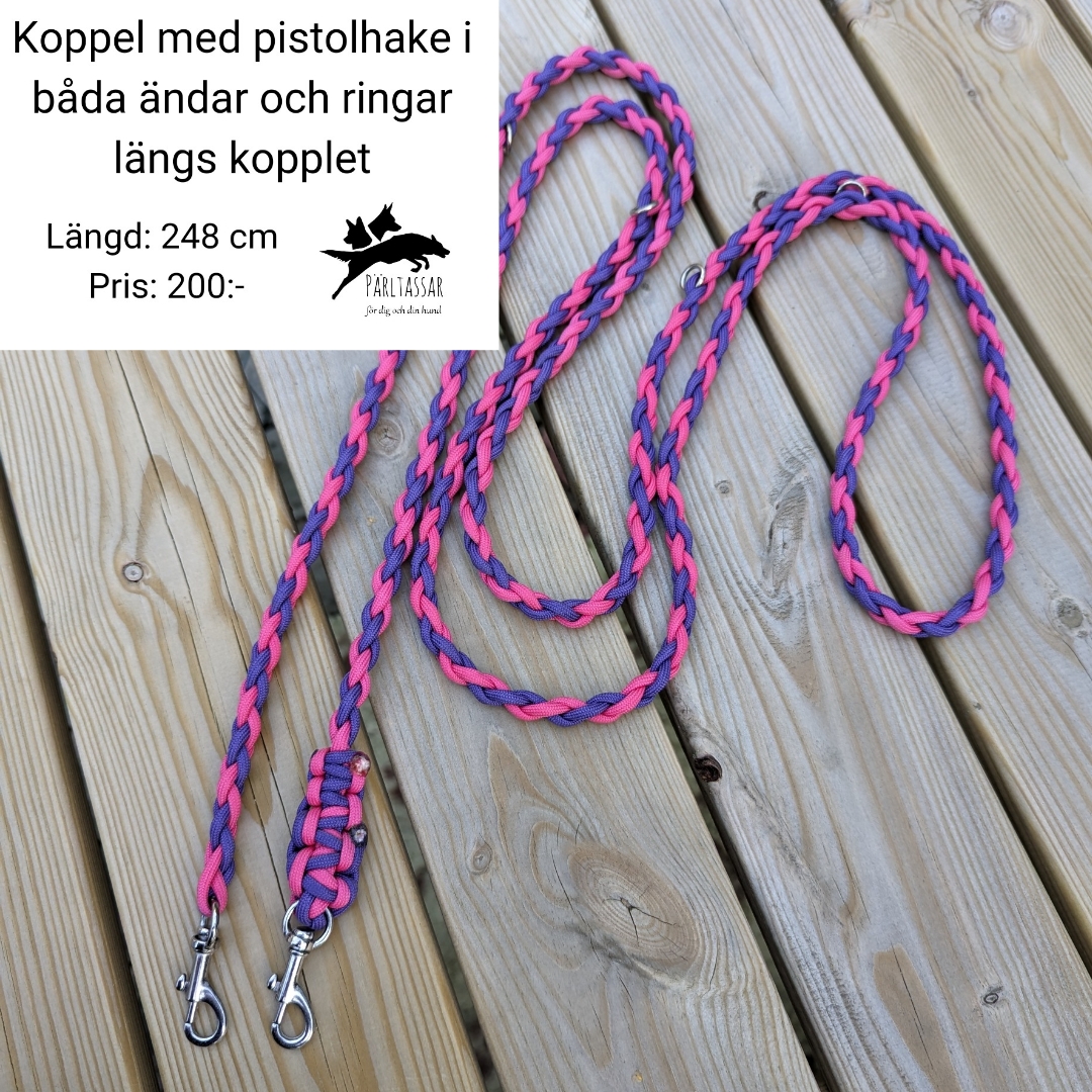 Ko23
